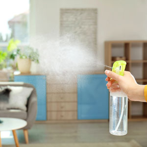 AIR FRESHENERS