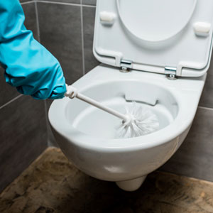 BATHROOM CLEANERS